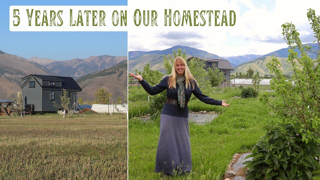 5 Years Later, Neglected Land in a High Mt. Valley to Productive Homestead - See What Has Changed!