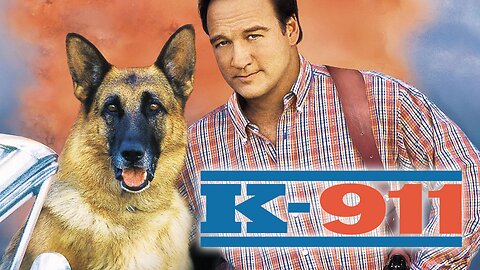 K-911 (1999) Full Movie