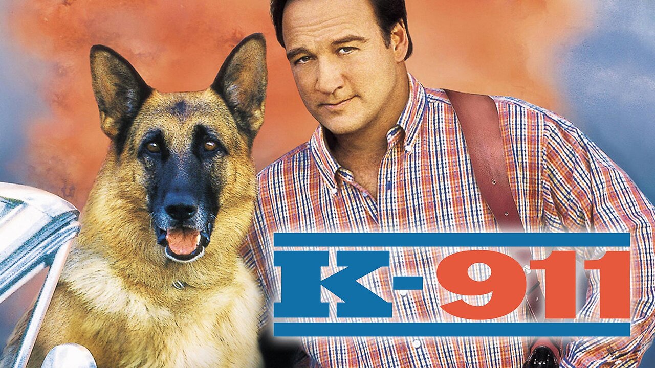 K-911 (1999) Full Movie
