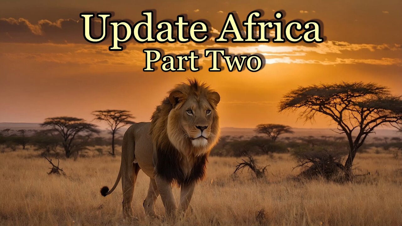 Update Africa - Part Two - A reading with Crystal Ball and Tarot