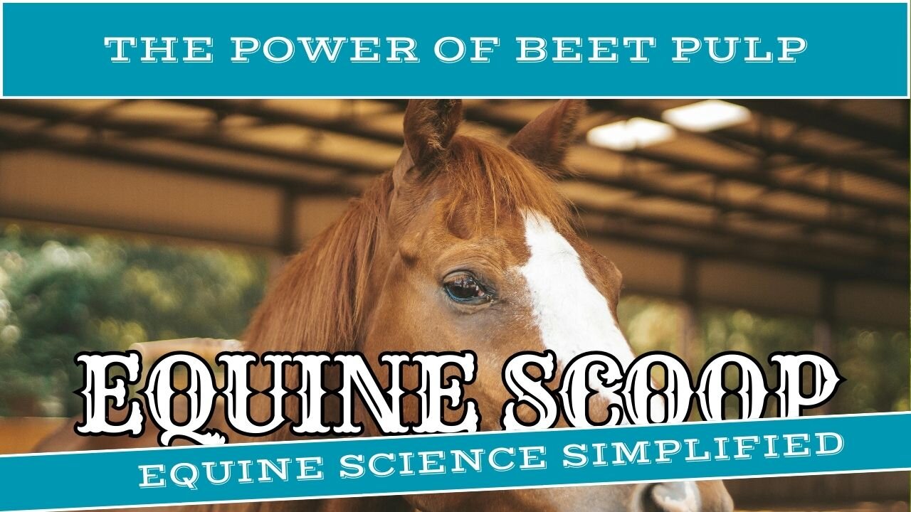 The Power of Beet Pulp