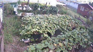 Outdoor Timeplapse Ending 22-06-2025