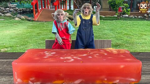 YiYi and YinYin so happy when grandpa makes giant watermelon jelly for them