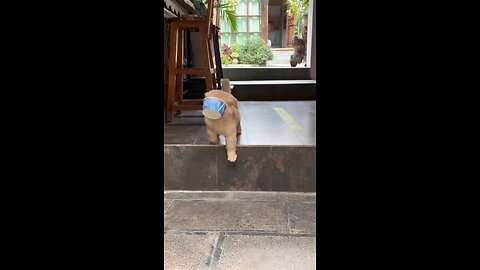 किधर जाऊ