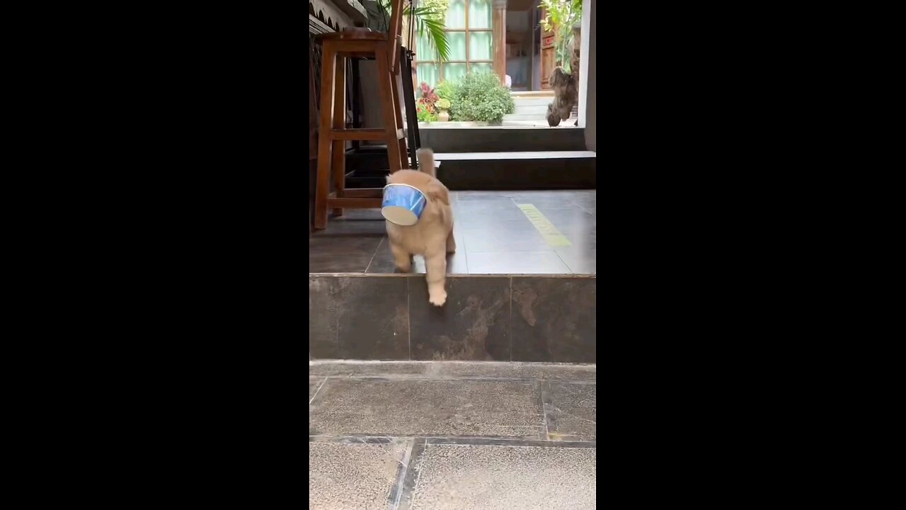 किधर जाऊ