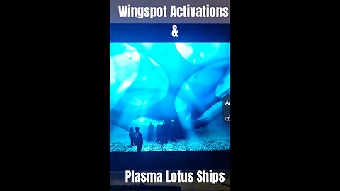 WingSpot Activations & Plasma Lotus Ships
