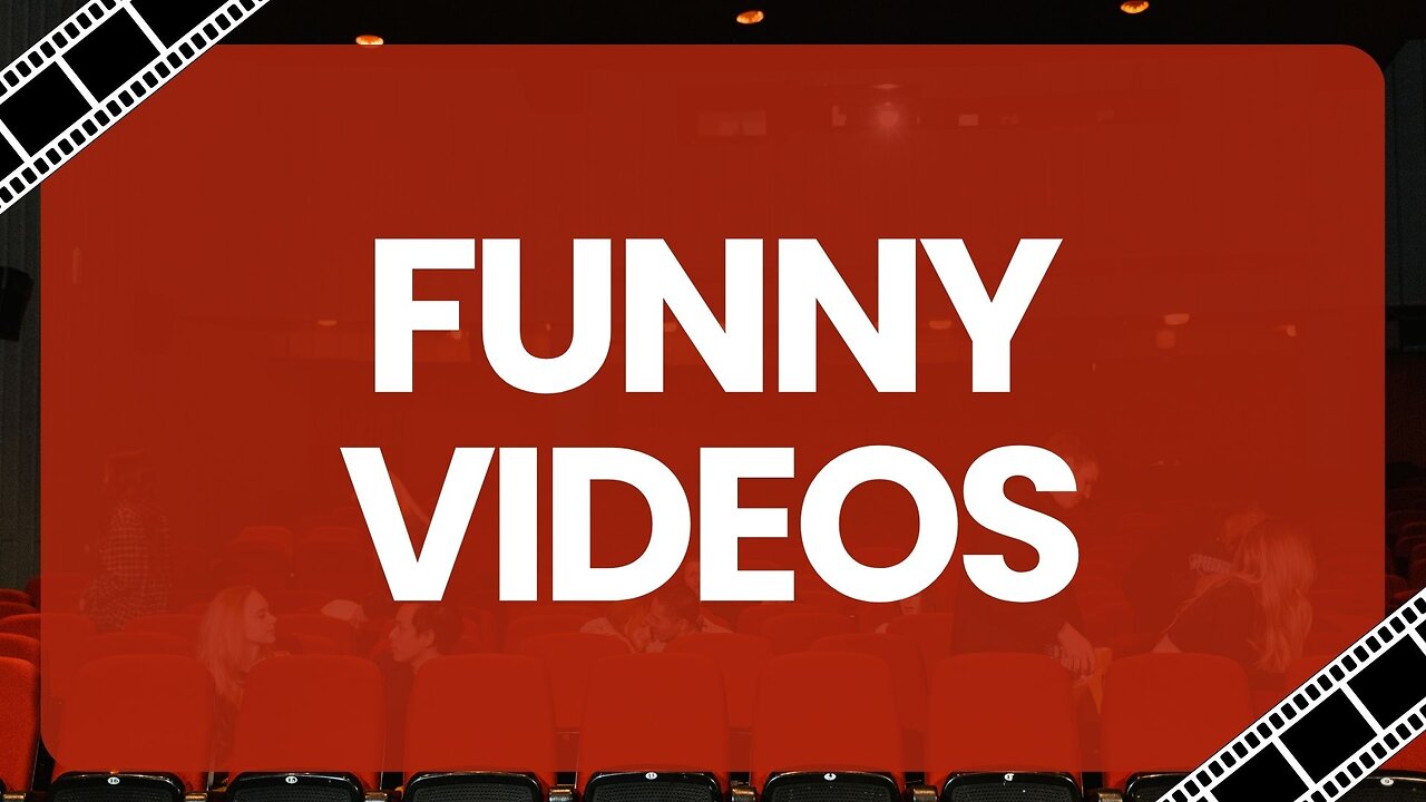 Funny videos. Collection 3