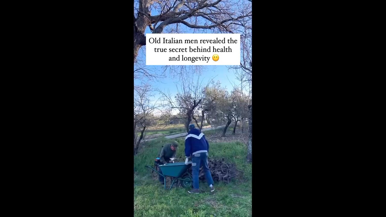 Italian Men Share Their View On Health & Longevity