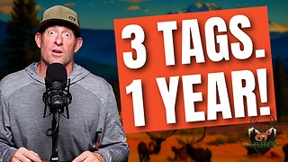 Lucky Tag Draws & Hunt Strategy