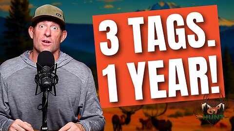 Lucky Tag Draws & Hunt Strategy