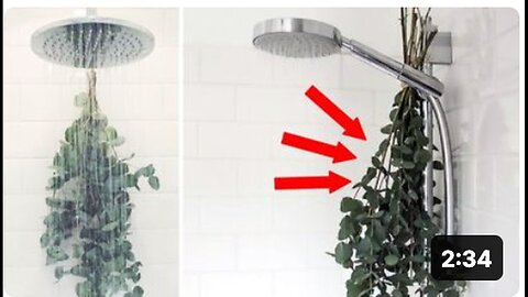 "Reasons to Hang Eucalyptus in Your Shower"