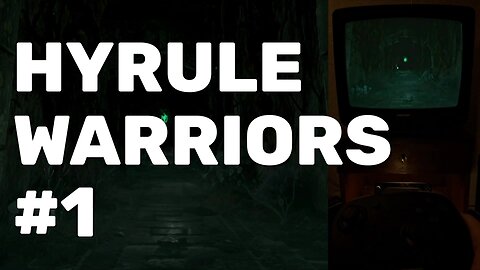 Hyrule Warriors: Age of Imprisonment Walkthrough - CRT Gaming Part 1