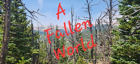 A Fallen World