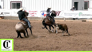 12.5 Team Roping 2nd Go Part 2 - 2024 Spicer Gripp Memorial Roping