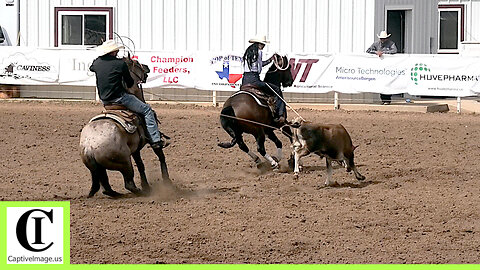 12.5 Team Roping 2nd Go Part 2 - 2024 Spicer Gripp Memorial Roping