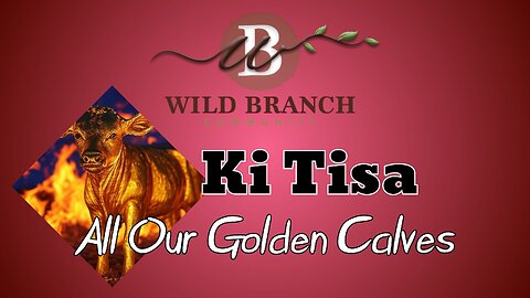 Ki Tisa - All our golden calves