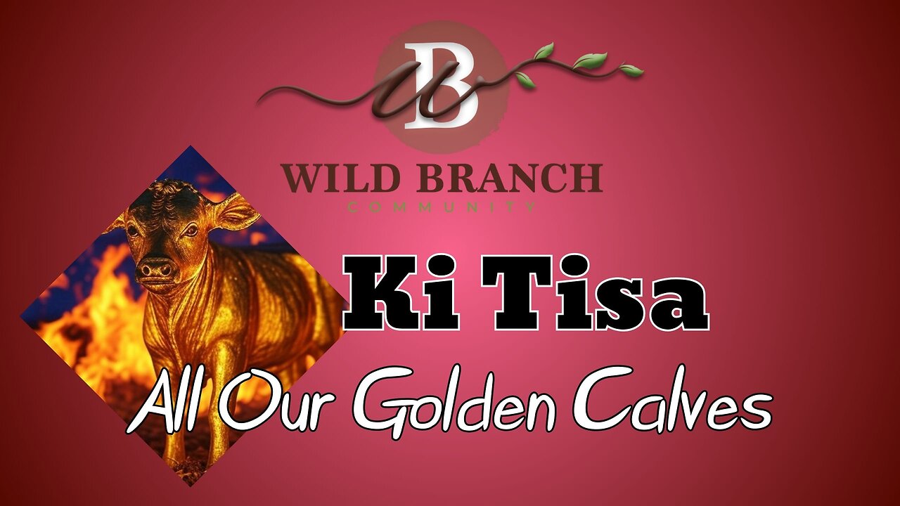 Ki Tisa - All our golden calves