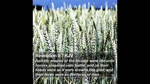 The First Woe, Revelations 9:6-13; with Dr. Tom Knotts, Jr.