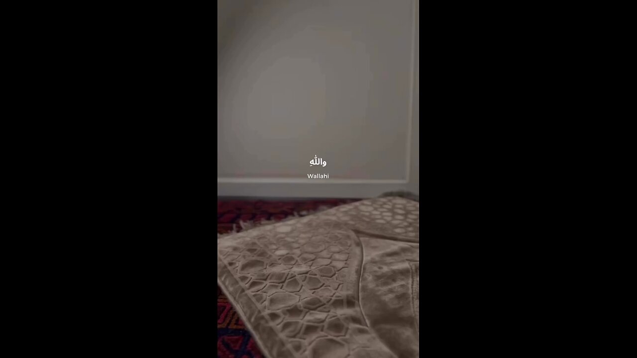 ❤️‍🩹❤️‍🩹❤️‍🩹