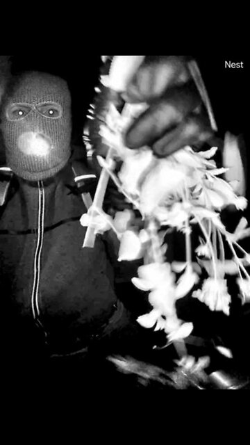 Video released of suspect in Nancy Guthrie's disappearance.