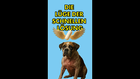 Die Lüge der schnellen Lösung!