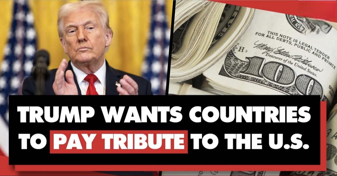 Tariffs Trump's plan to save US dollar dominance. Will it work? BRICS!!
