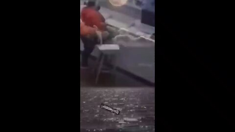 Ultimate Epic Fails Compilation #2