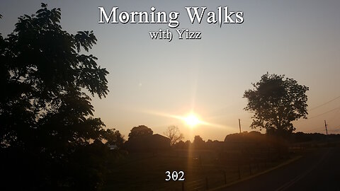 Morning Walks with Yizz 302