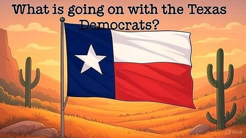 What is going on with the Texas Democrats?