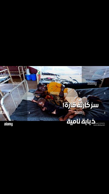 مرض النوم: سر الذبابة التي توقف قارة ؟