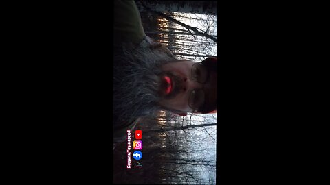 Wolves Interrupt Elk Hunt