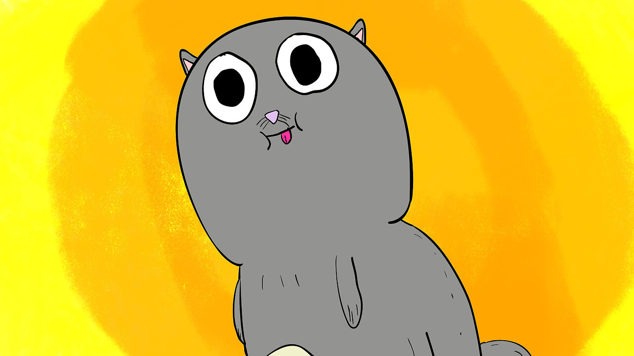 Your Cat Wakes You Up