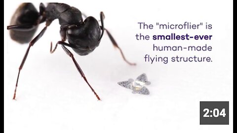 "Hell's Winged Microchip: Smallest Human-Made Flying Structure Ever Created"