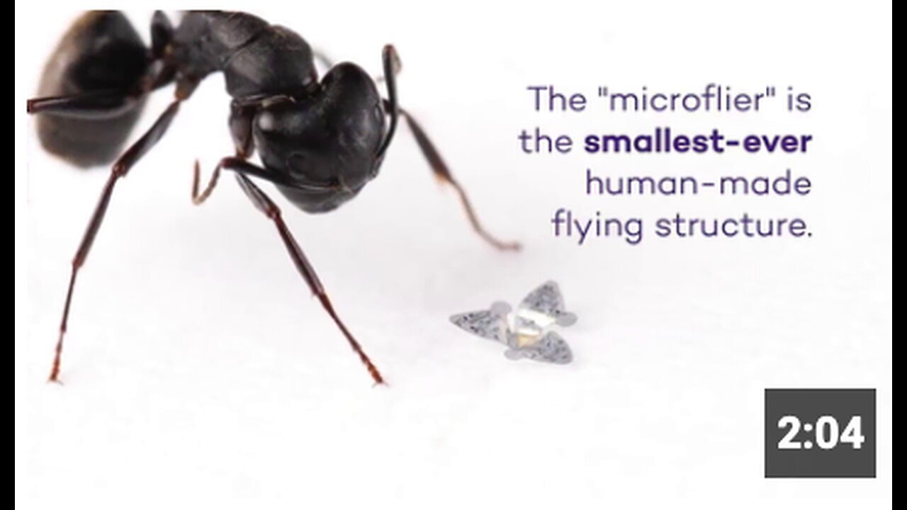 "Hell's Winged Microchip: Smallest Human-Made Flying Structure Ever Created"