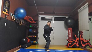 WTD 2 Step Kick Combination 96