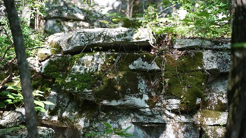 Long walk up and into Wade Mountain Nature Preserve. Huntsville, Alabama.