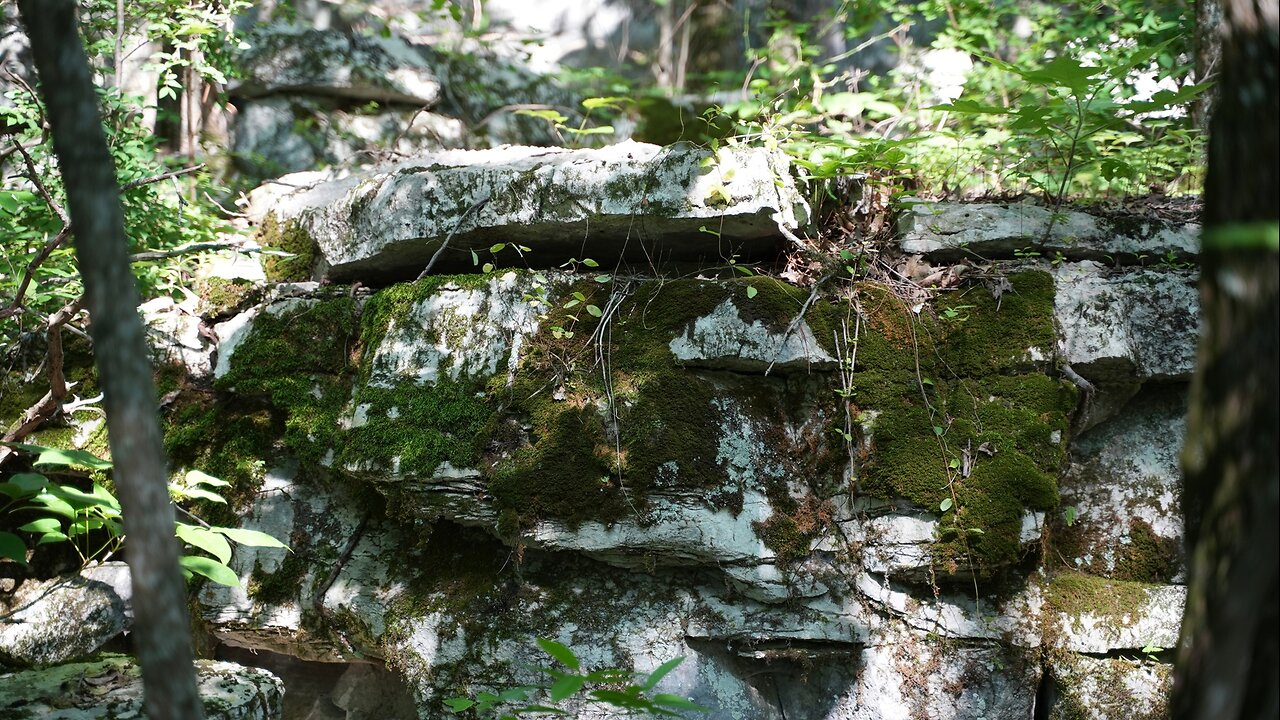 Long walk up and into Wade Mountain Nature Preserve. Huntsville, Alabama.