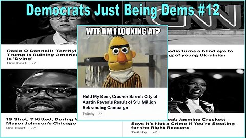 Democrats Just Being Democrats #12