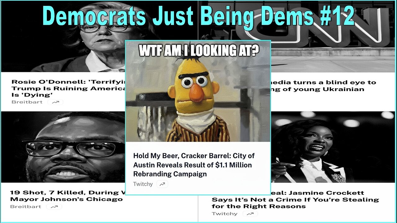 Democrats Just Being Democrats #12