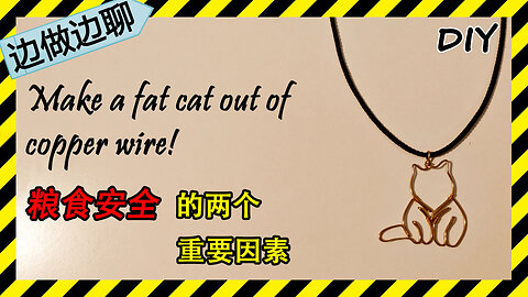 第83期 Issue 83 fat cat kitty pet pendant DIY handmade craft copper wire tutorial 石油 农民 粮食 耕地 务农 中国 美国