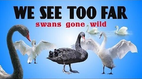 We See Too Far - Swans Gone Wild