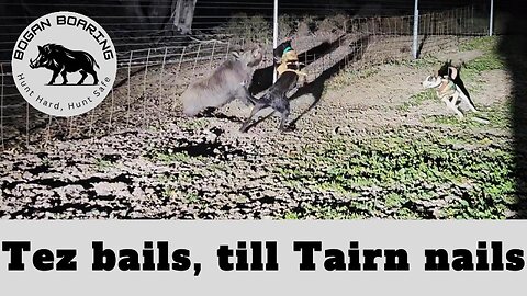 Tez bails, till Tairn nails