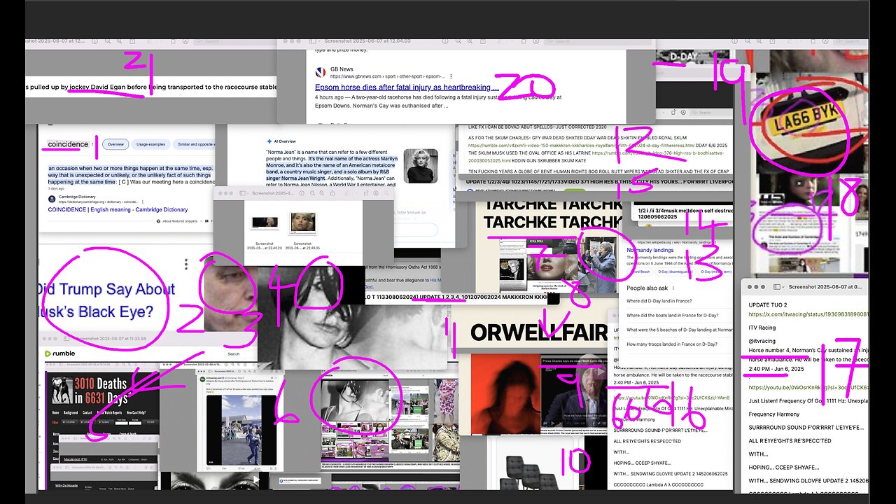 1@124307062025 VIDEO 381 NORMAN CAY COINCIDENCE LIKE DULLINS 3 HORSES? DATA IS DATA- ASK HORSE IQ STATS