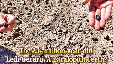 The Evolution Crap: Ethiopian Fossils Reveal New Species In Human Evolutionary Lineage