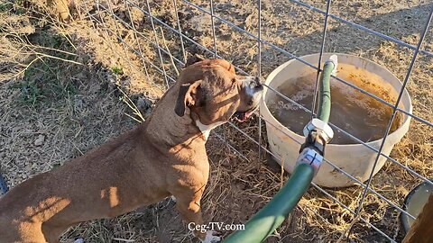 Graham Family Farm NW: 7:50 PM July 14 2025