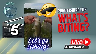 Fishing On the Go - Let's See What's Biting Today - Restart #mobile #fishing #livestream Episode 105