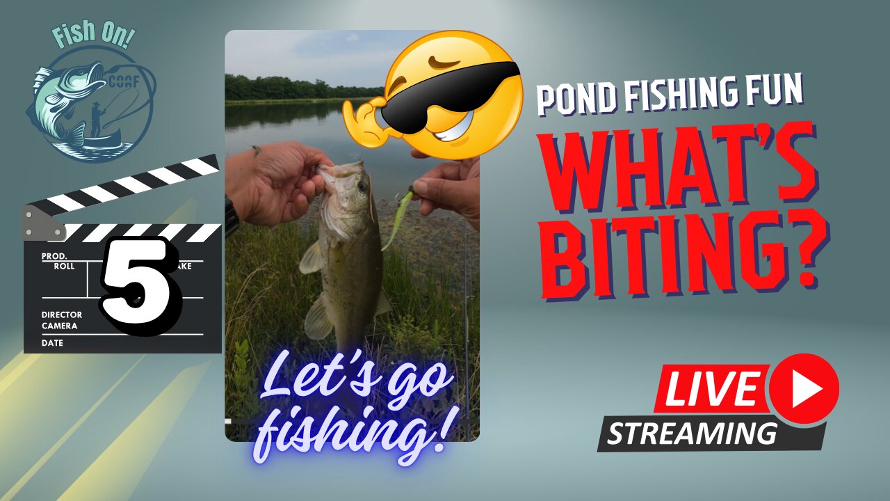Fishing On the Go - Let's See What's Biting Today - Restart #mobile #fishing #livestream Episode 105