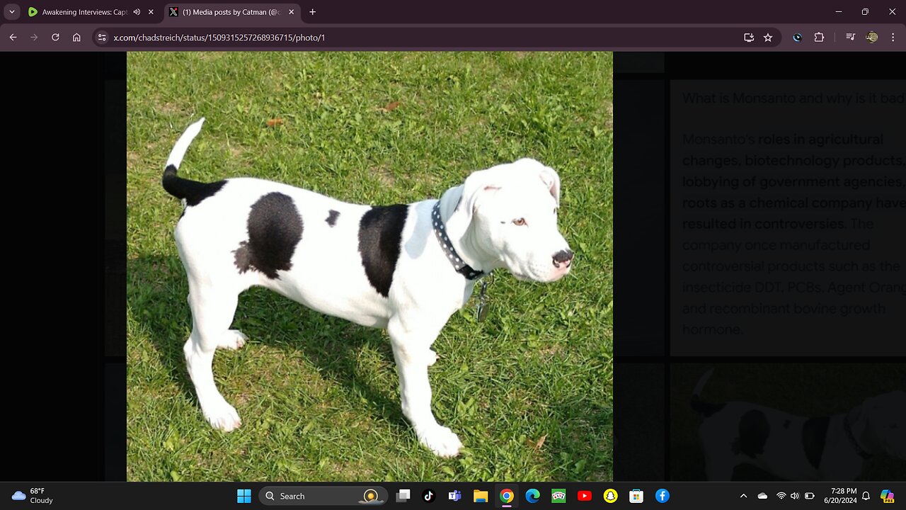 Mackforce family love this!