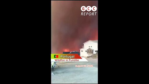 #Portugal #Wildfire #Emergency #Evacuation #climatechange #ClimateCrisis #weather #climate