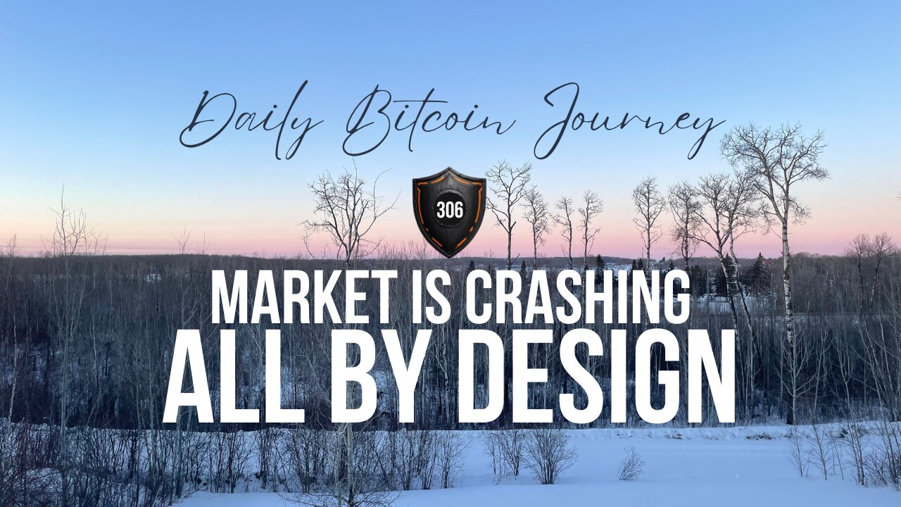 we are still right about bitcoin